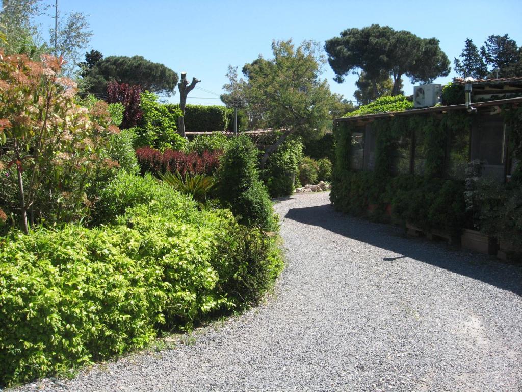 Country Apartments Castel di Decima エクステリア 写真