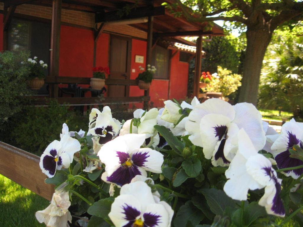 Country Apartments Castel di Decima エクステリア 写真
