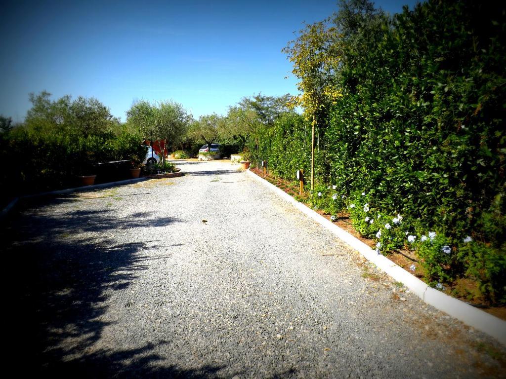 Country Apartments Castel di Decima エクステリア 写真