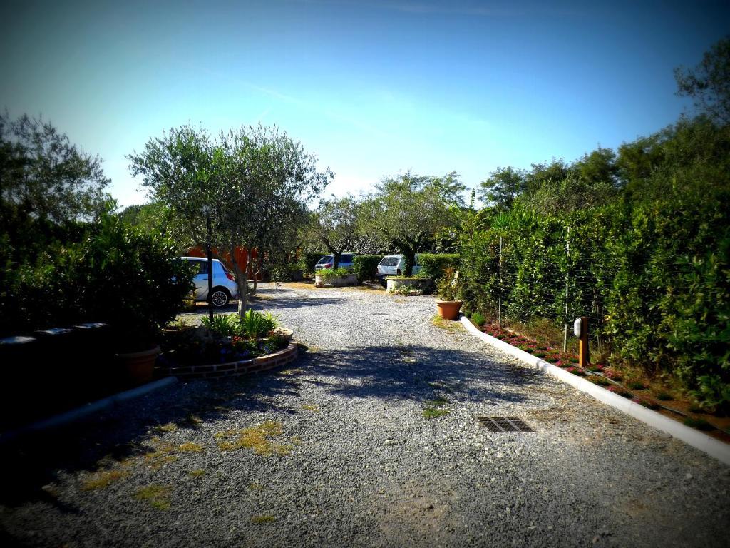 Country Apartments Castel di Decima エクステリア 写真